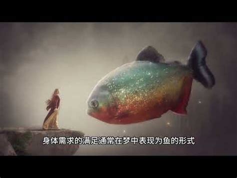 夢到龍魚號碼|夢見魚